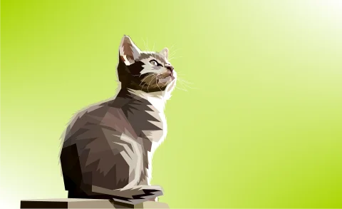 Animal colorful digital prints 3